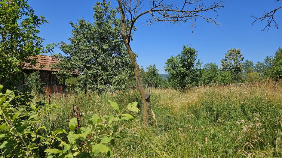 Vanzare teren intravilan, Zigoneni - Curtea de Arges - Poză 10