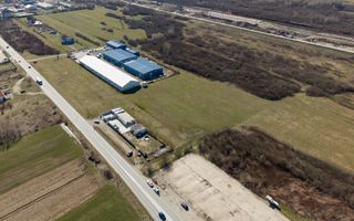 Teren extravilan de 7.000 mp lângă Păltiniș - Poză 3