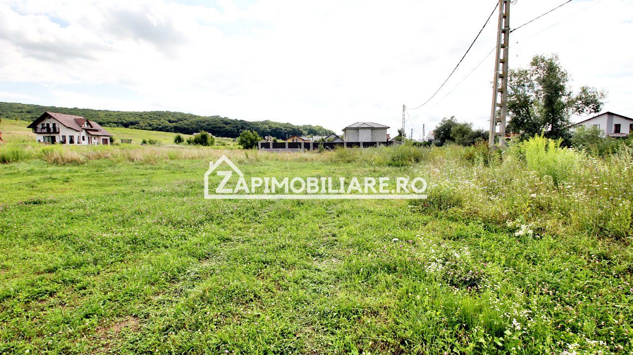 Teren 6.800mp teren cu deschidere de 100 m la drum asfaltat - Poză 2