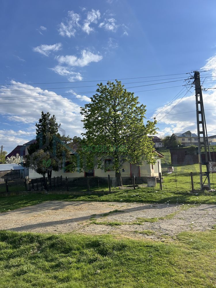 Teren 4000 mp cu casă și construcții anexe, Buhalnița, județul Iași - Poză 1