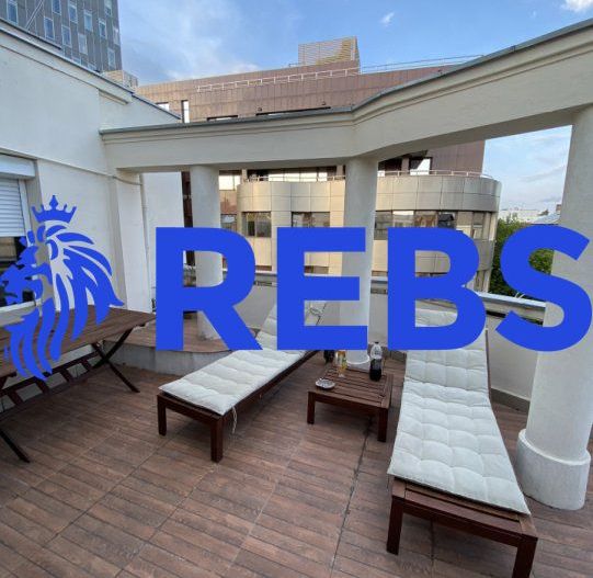 Apartament in vila Piata Victoriei | Caderea Bastiliei - Poză 7