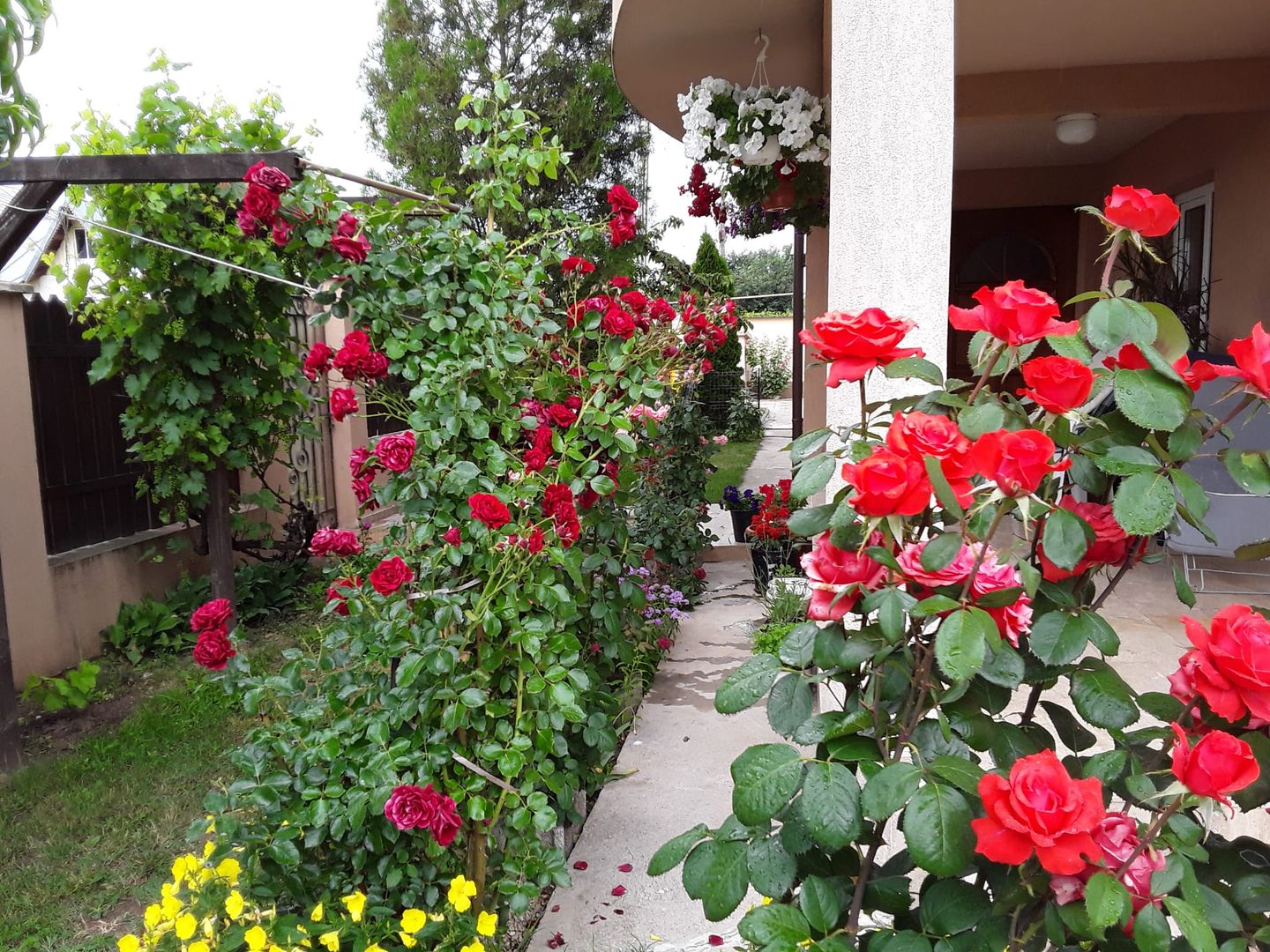 Casă de vânzare | 5 camere P+1 | Teren 553 mp | 2 terase | Clinceni - Poză 27