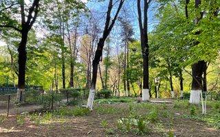 Garsoniera Premium in Vila interbelica**Boxa+Mansarda+Curte/R. Beller/DOROBANTI - Poză 39