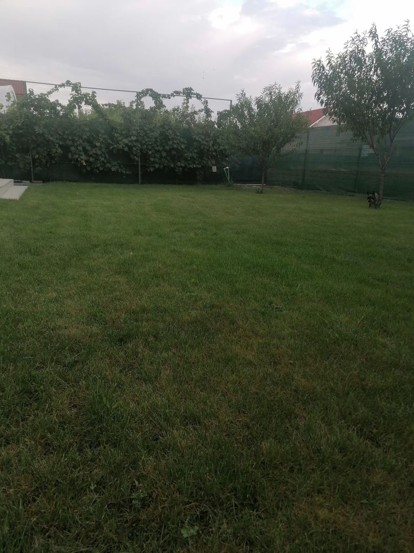 Casa cu garaj in Dumbravita - Poză 13