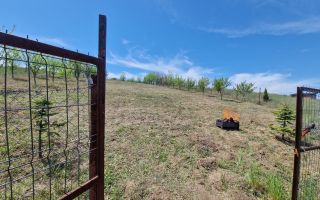 Teren intravilan de vanzare in zona Copou, langa Pensiunea Carolina, Iasi - Poză 3