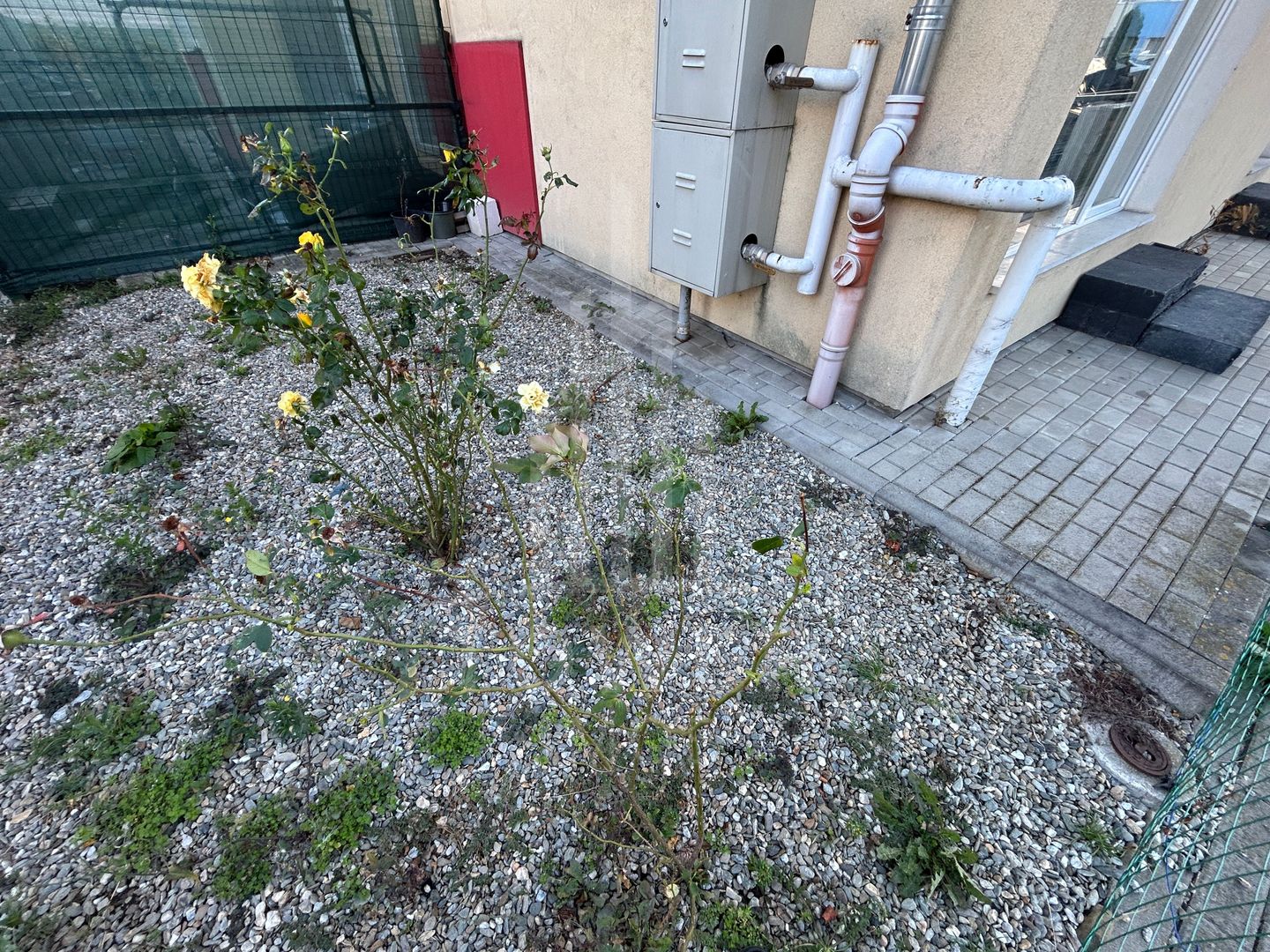 Apartament 3 camere cu terasa, Zona Turnișor - Poză 10