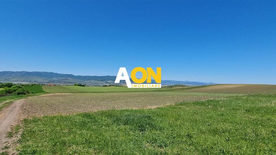 Teren de vanzare Alba Iulia Oarda de Sus - Poză 1