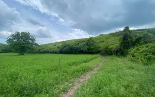 Domeniu 15.900 mp în Fințești | Casă + Investiție Dealu Mare - Poză 18
