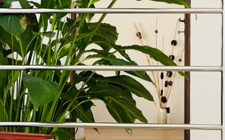 Oferta Inchiriata - Casa Segmentul Premium, 180 mp | Garaj&Gradina | Fropin - Poză 36