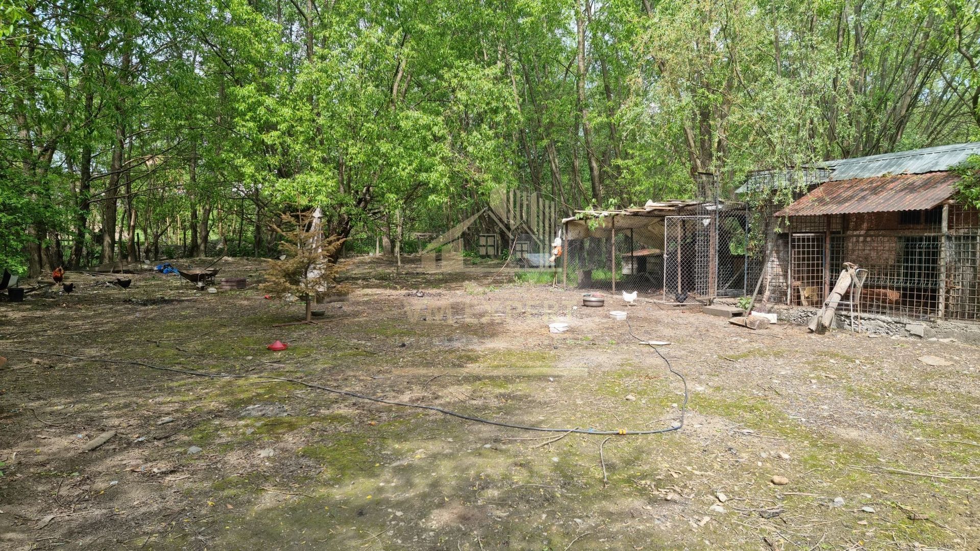 CASA 3 CAMERE, TEREN 6200 MP + 2 LACURI, CAMPULUNG, NAMAIESTI - Poză 28