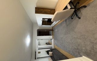 Apartament 1 cameră de închiriat, Tătărași, Str. Vasile Lupu - Poză 3