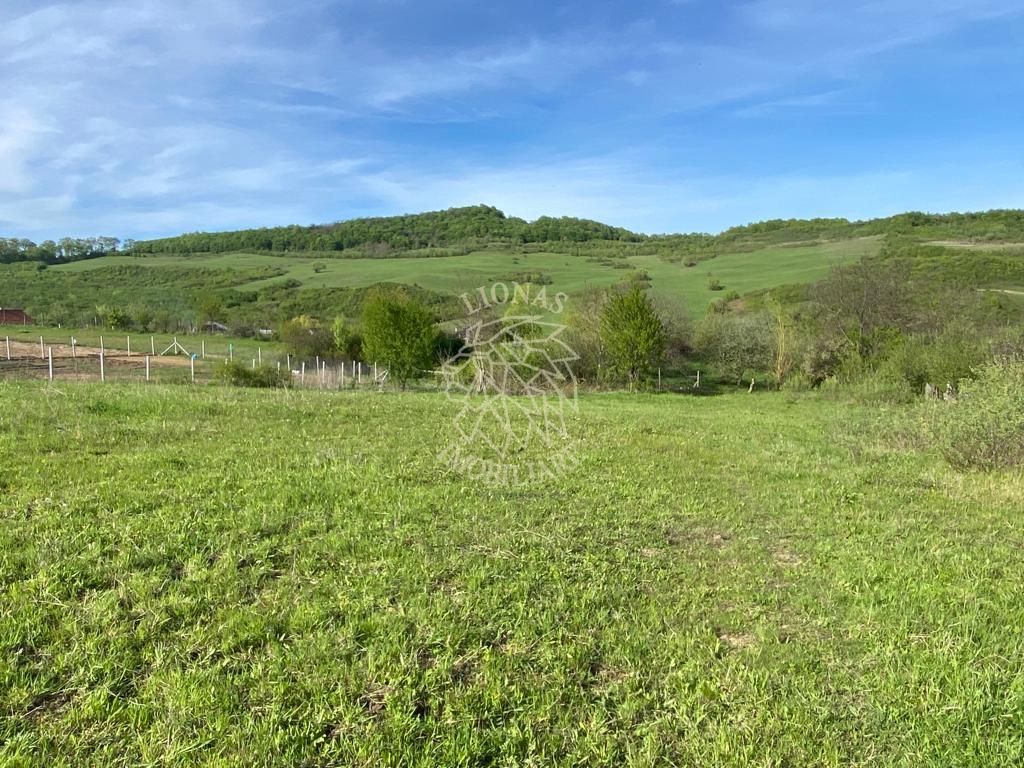 Teren 2160 mp - pretabil pentru cabana - investitie - Jelna - Poză 4