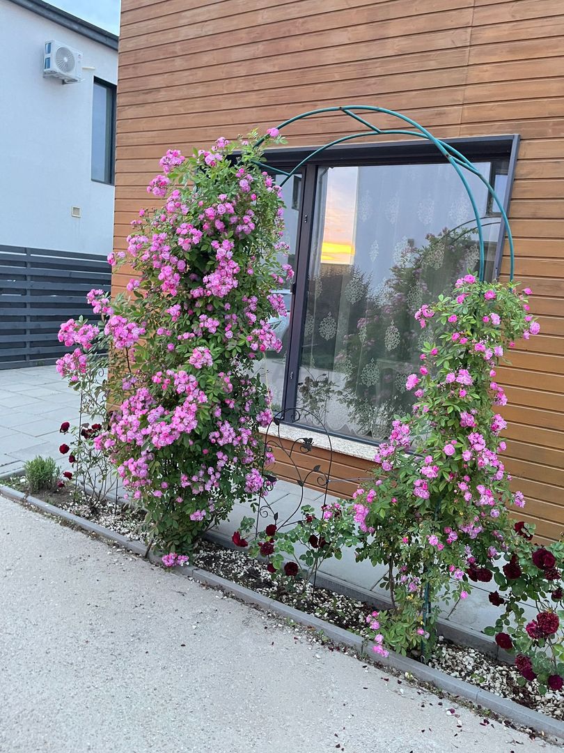 Vilă Individuală de Lux - Poză 3