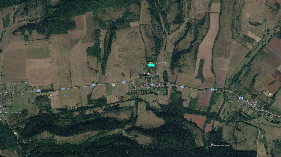 Teren extravilan 4300mp în Bogda, județul Timiș - Poză 3