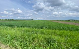 Teren Burla | Strada Principala | 78 ARI - Poză 2