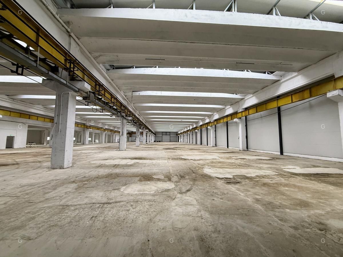 SPATIU INDUSTRIAL, 6857 MP - recent renovat-pod rulant-1000kw - Marsa - Poză 5