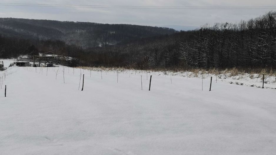 Teren cu o priveliste superba langa padure - Poză 1