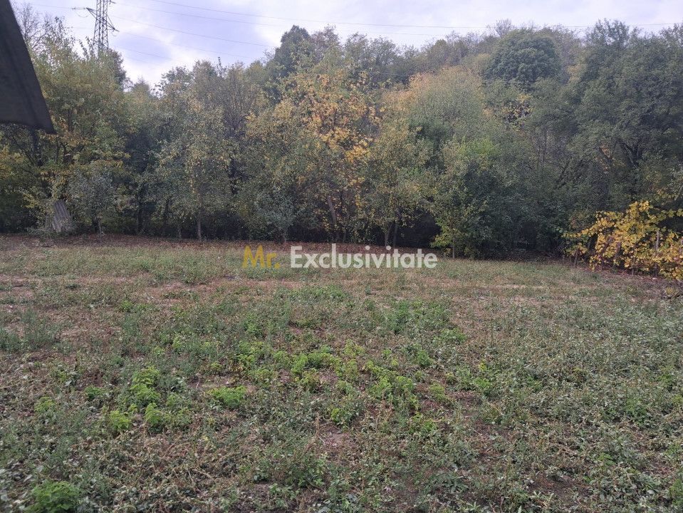 Casă tradițională cu teren generos – Borosteni, Peștișani, jud. Gorj - Poză 3
