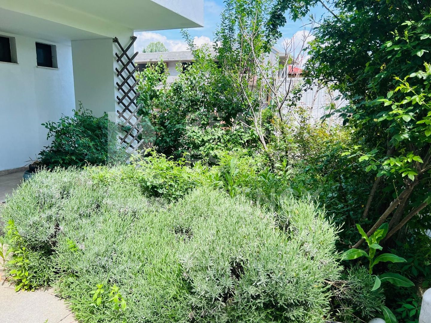 Vânzare, vilă, 6 camere, loc. Corbeanca, București - Poză 2