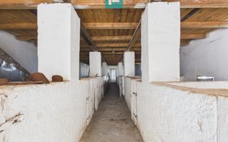Moară cu brutărie pentru investiții în Secusigiu - Poză 11