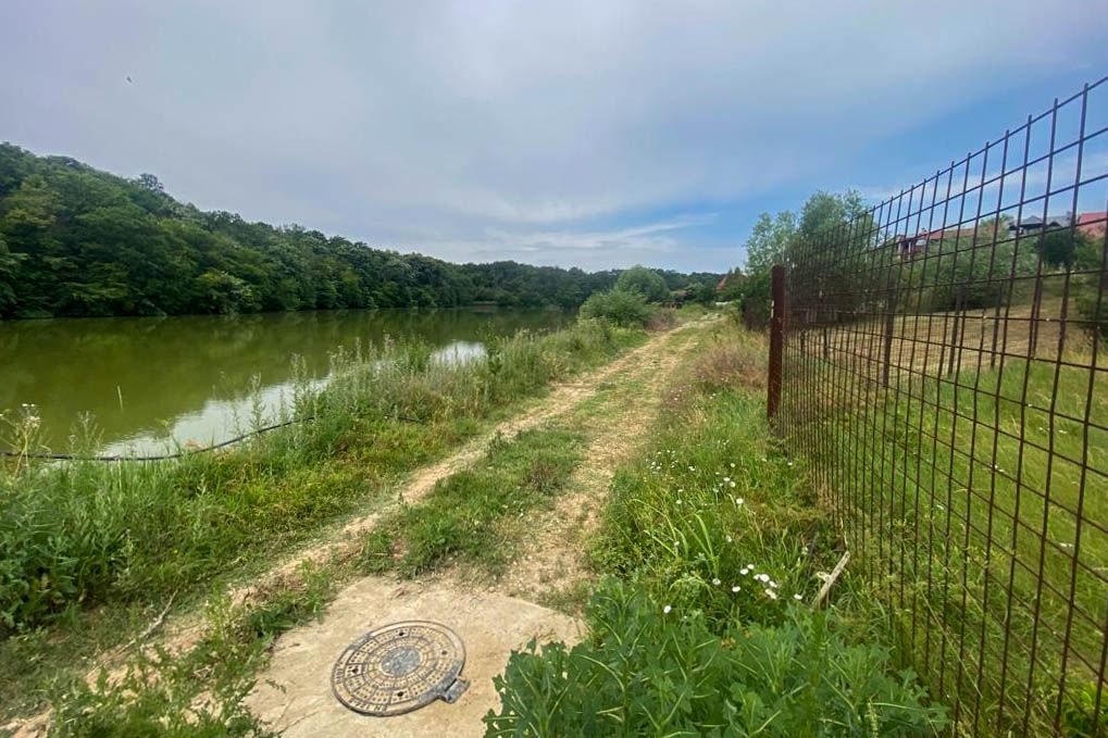 Teren Intravilan de vanzare 3778 mp Branesti Strada Violetelor - Poză 8