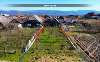 Casa de vanzare in Borlesti, Pomi | 37 ari teren | Comision 0% - Poză 19