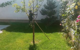 Vand apartament 5 camere ,200mp ,parter + curte proprie 150 mp - Poză 8