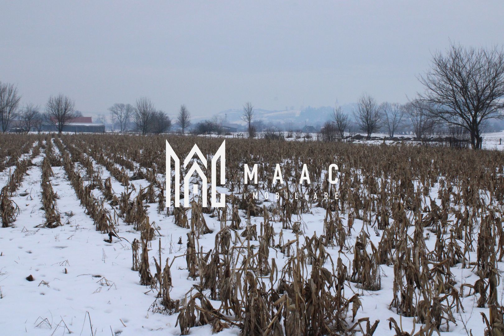 Ferma de Vânzare – Oportunitate Unică! - Poză 31