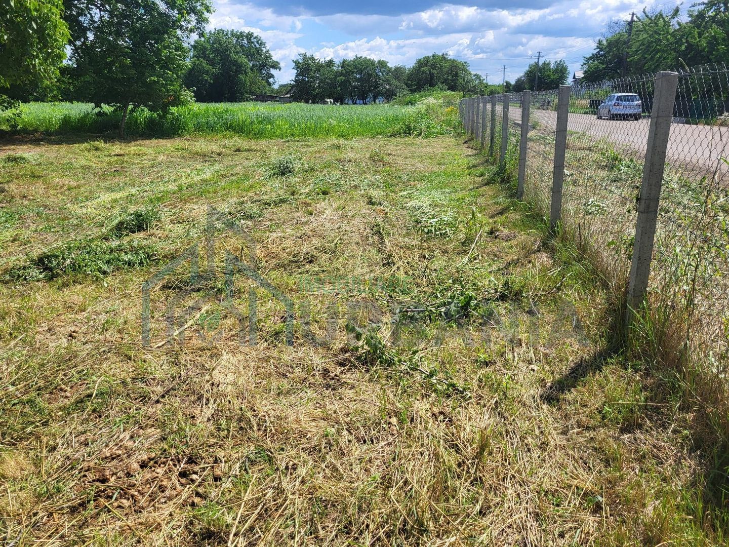 Casă bătrânească cu 5200 mp teren în Damileni - Botoșani - Poză 3