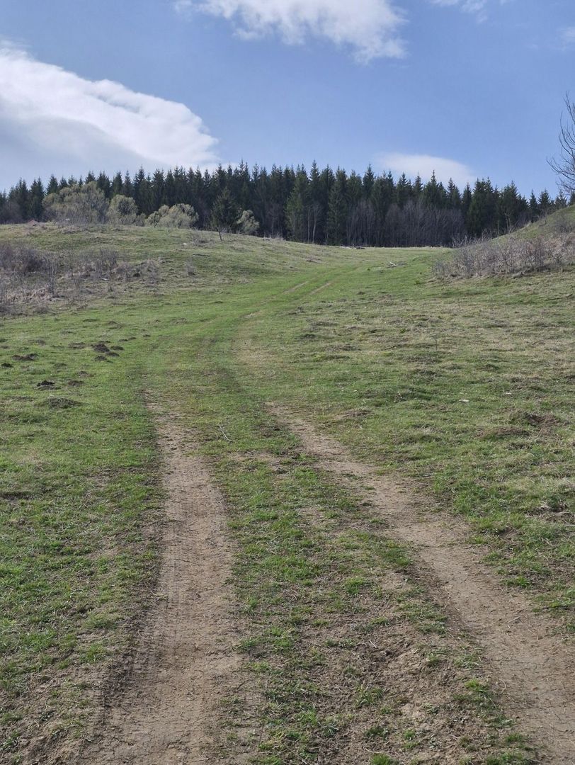 Teren intravilan la baza pădurii Valea Doftanei sat Traisteni (poduri) - Poză 11