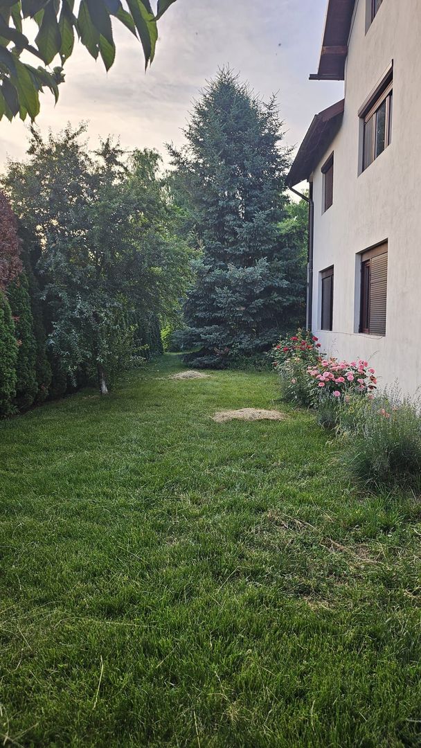 Vila 8 camere Dascalu - Poză 25