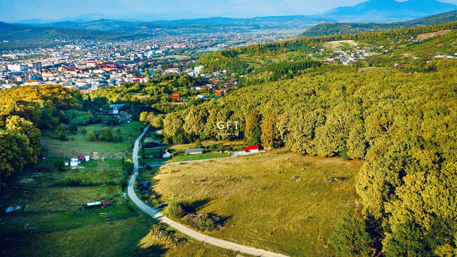 Teren , sub liziera padurii. Str. Tabara, 7 min. de Centru Pietonal - Poză 3