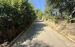 Teren 4558 mp cu casă tradițională, Sohodol, Bran - Poză 12