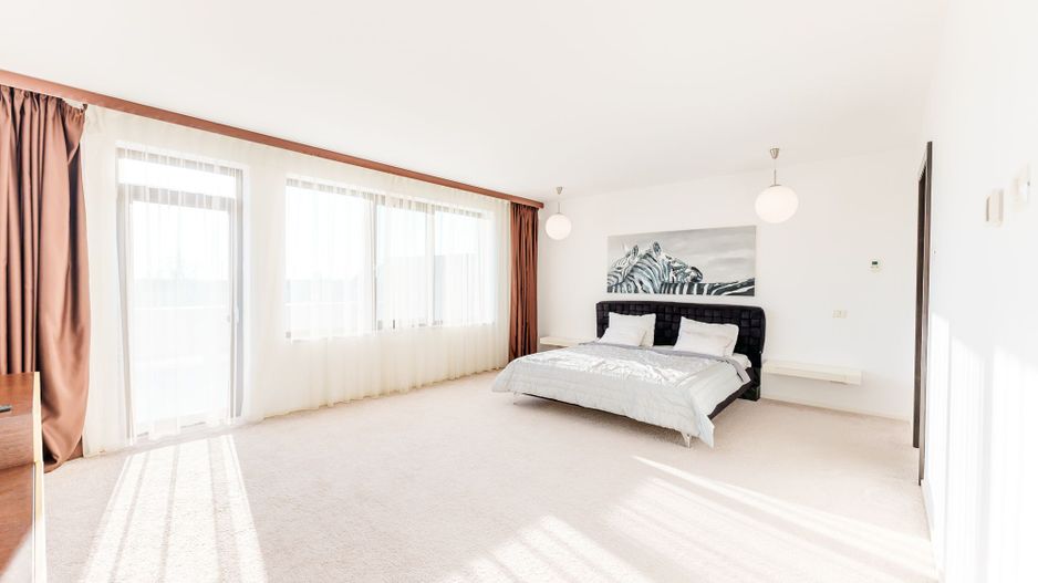 Casă superbă în Sânnicolau Mic - Poză 11