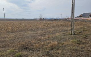 SUPEROFERTA !!! Teren 8000 mp,  Merisani, langa DN si Autostrada - Poză 5