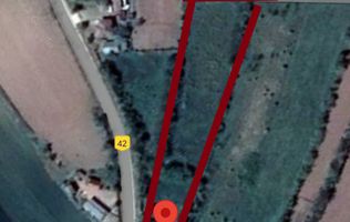 Teren 4000 mp cu casă veche, utilități, ideal vacanță – Alunișu, Dâmbovița