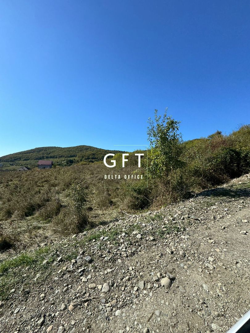 Teren de vanzare in Viisoara, 96 Ari. - Poză 2