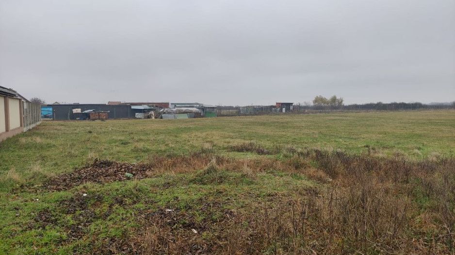 Teren 4588 mp, Remetea Mare Comision 0% - Poză 2