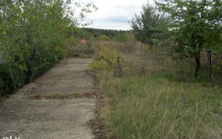 Teren la 35 km de Bucuresti - Izvorani - Ciolpani - Poză 14