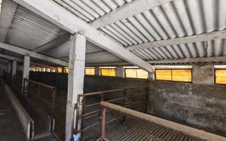Spațiu industrial -fermă Orțișoara - Poză 3