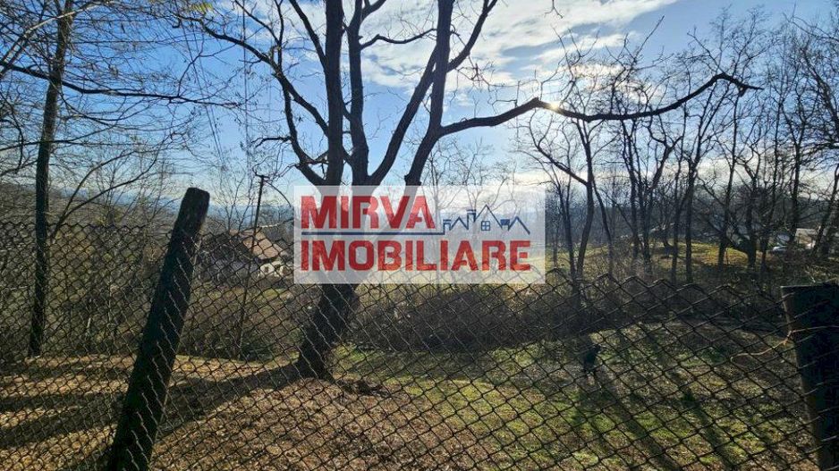 Vanzare casa plus anexa, teren 3843 mp, in Sat Pietriceaua - Poză 17