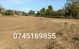 Teren intravilan 3600 mp Ciurbesti, Miroslava – ideal proiect imobiliar, schimb cu casa - Poză 2