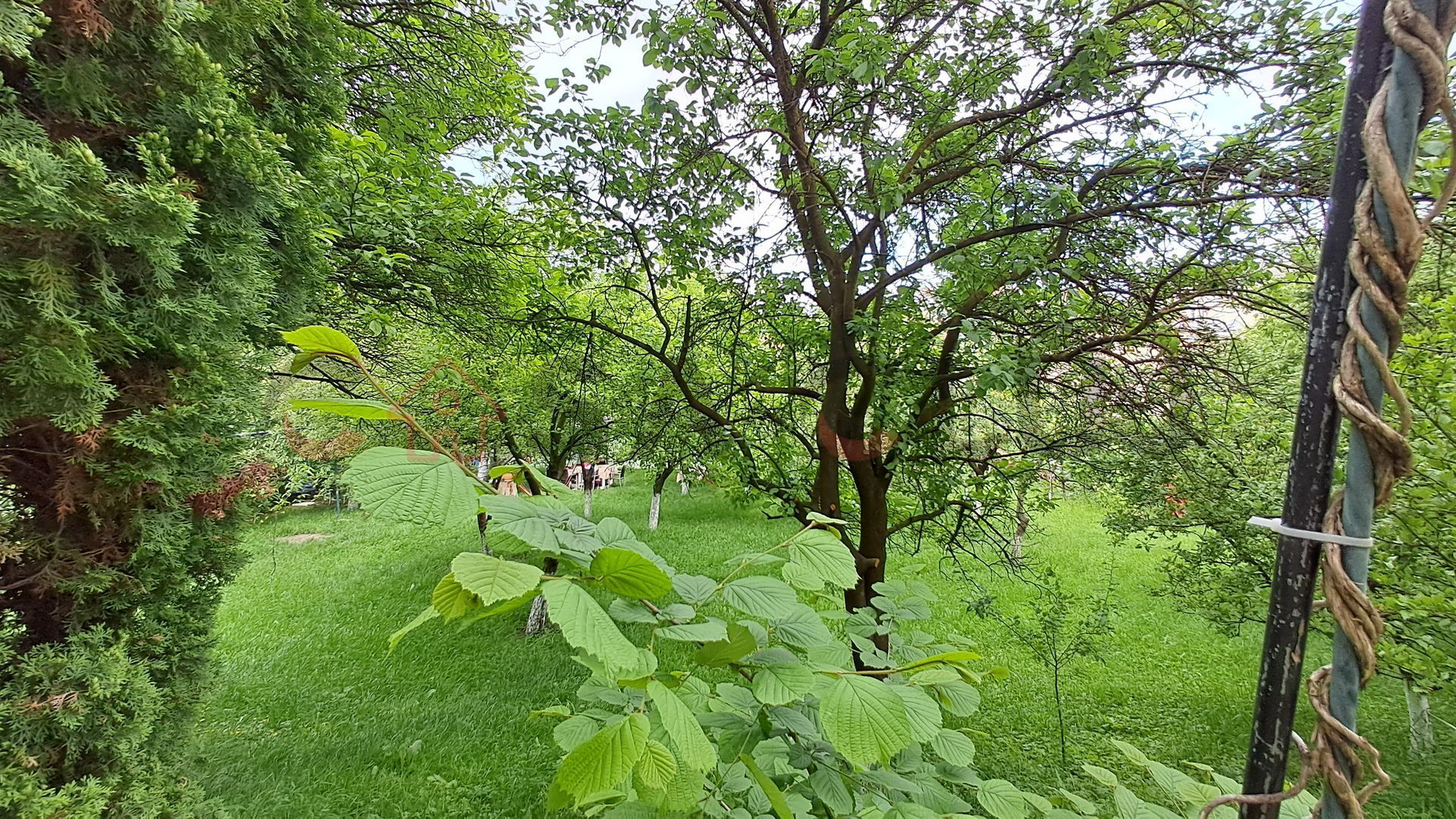 3 camere ,Centru 87 mp gradina,  Emil Racovita!! - Poză 12