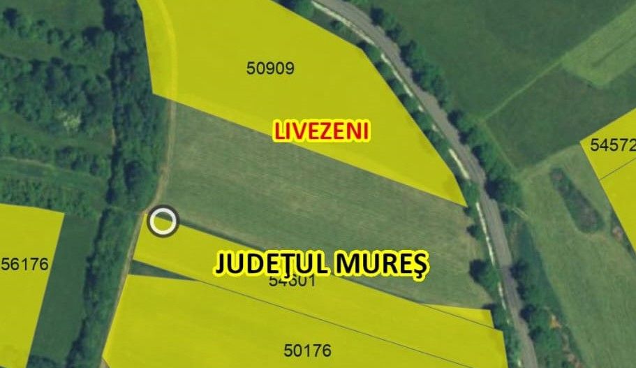 Teren intravilan -Sânișor- 8700 mp - Poză 5