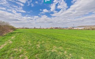 Teren extravilan, 1 ha, în orașul Sebiș, Arad - Poză 10