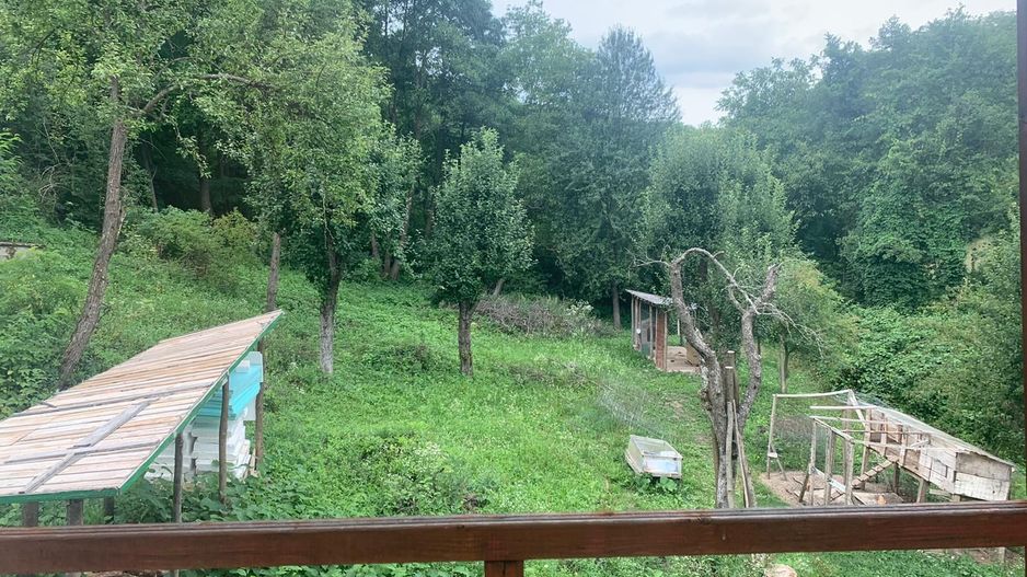 Casă de vânzare la liziera pădurii – Comuna Bogați, Argeș - Poză 15