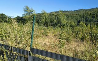Vand Teren intravilan - Poză 8
