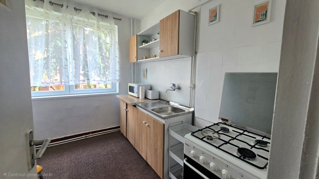 Chirie 2 Camere Satu Mare Central - Poză 2
