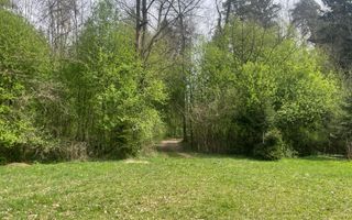 TEREN INTRAVILAN 1800 MP MIHAESTI ARGES COMISION 0 - Poză 1