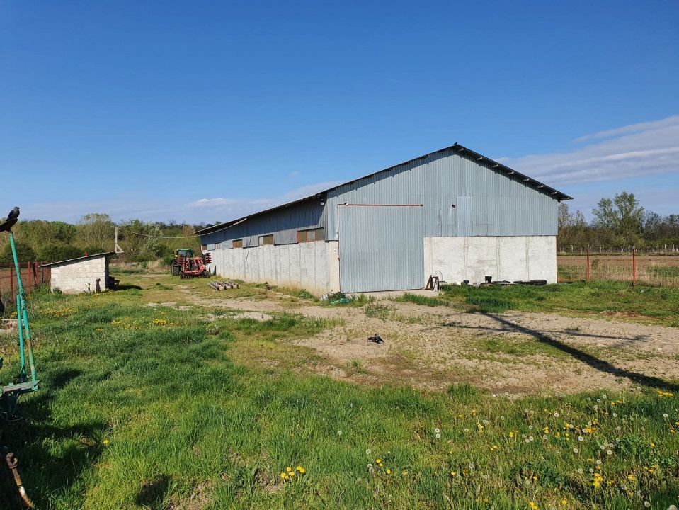 Hala de vanzare Costesti - Poză 4